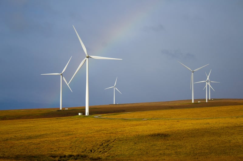 Sustainable Options