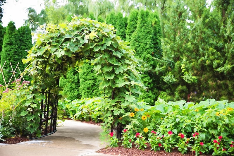Trellises and Arbors