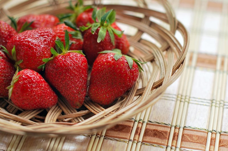 Strawberry Plant